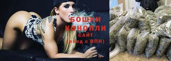 сатива Надым