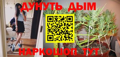 гашик Ирбит
