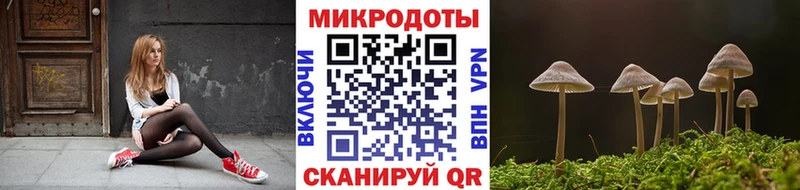 где купить наркоту  Соликамск  Псилоцибиновые грибы Cubensis 